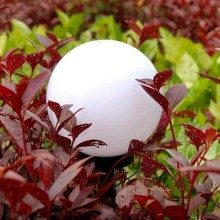 Lâmpada Solar Garden Oh My Home, apenas 9.81 EUR. Frete GRÁTIS 24/48H. ¡Compra o JA!