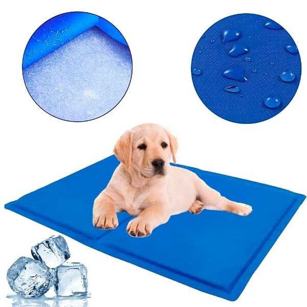 ? TAPETE DE APRENDIZAGEM PARA ANIMAIS DE ESTIMAÇÃO ? TAPETE DE APRENDIZAGEM PARA ANIMAIS DE ESTIMAÇÃO