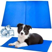 ? TAPETE DE APRENDIZAGEM PARA ANIMAIS DE ESTIMAÇÃO
