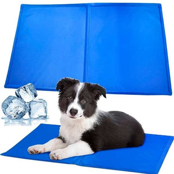 ? TAPETE DE APRENDIZAGEM PARA ANIMAIS DE ESTIMAÇÃO ? TAPETE DE APRENDIZAGEM PARA ANIMAIS DE ESTIMAÇÃO