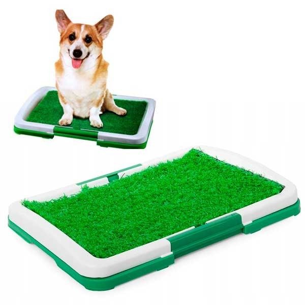 MATRIZ DE APRENDIZAGEM PARA MASCOTAS, apenas 24.90 EUR. Frete GRÁTIS 24/48H. ¡Compra o JA! MATRIZ DE APRENDIZAGEM PARA MASCOTAS, apenas 24.90 EUR. Frete GRÁTIS 24/48H. ¡Compra o JA!
